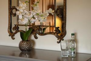 the queens at horton