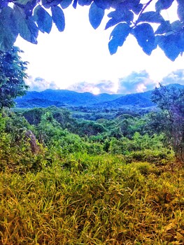vue grand hilltop