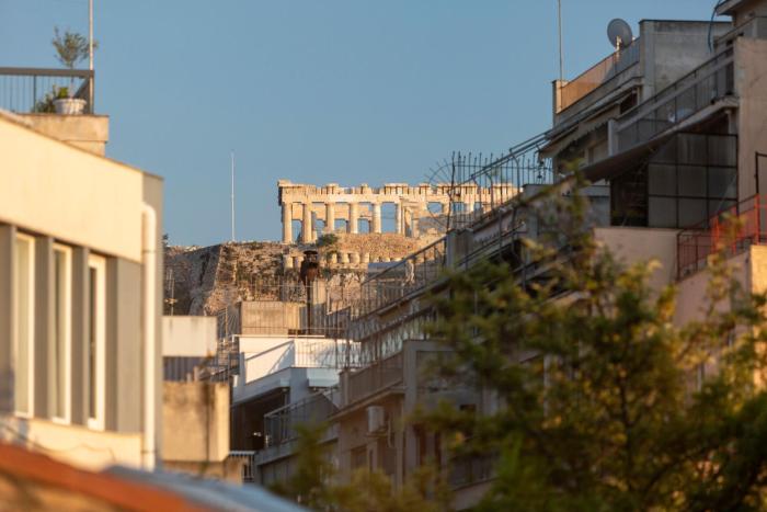 the frogs guesthouse