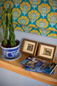 the frogs guesthouse