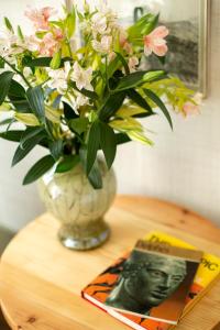 the frogs guesthouse