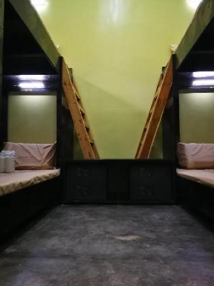 big paul hostel adults only