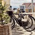 skagen