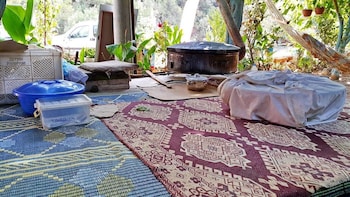 olympos tatilya pansiyon