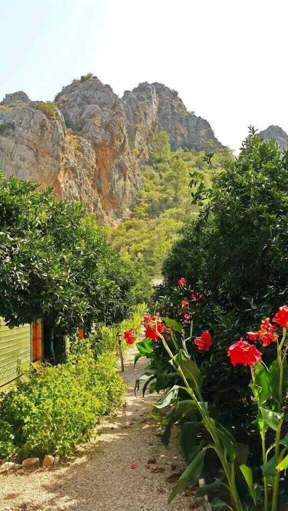 olympos tatilya pansiyon