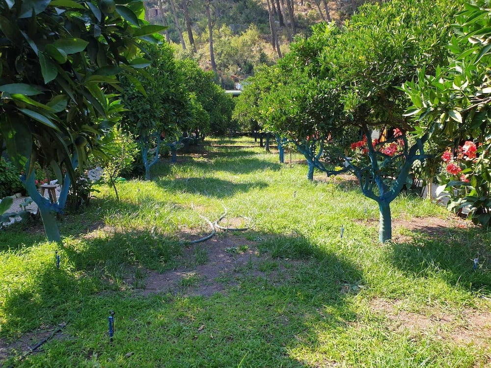 olympos tatilya pansiyon