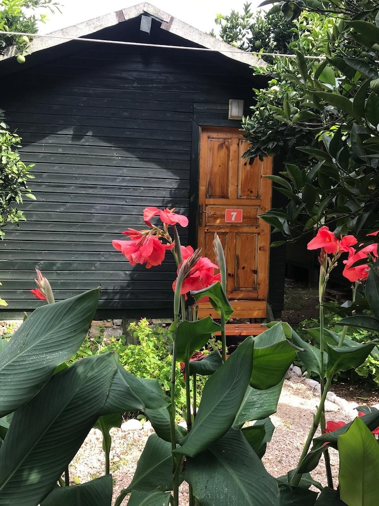 olympos tatilya pansiyon