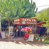 olympos tatilya pansiyon