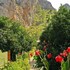 olympos tatilya pansiyon