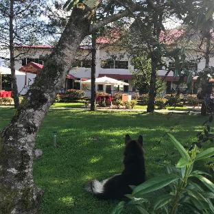 pinar kir evi