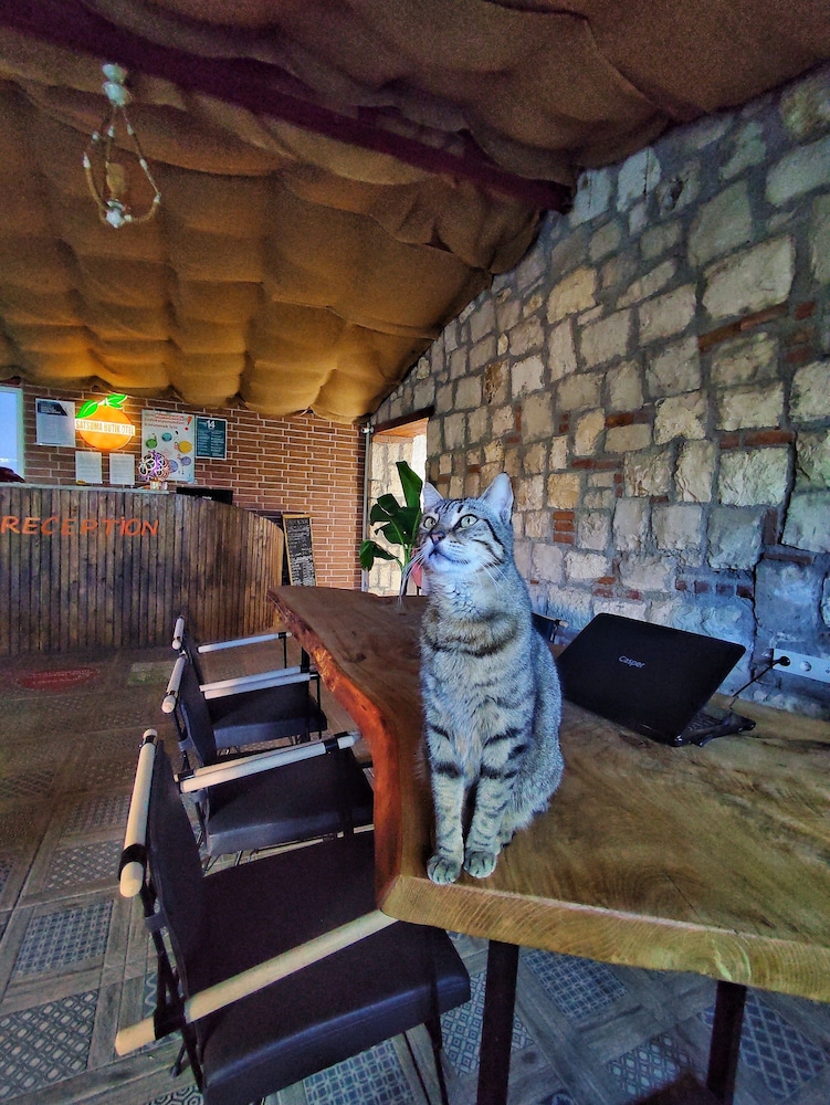 satsuma butik otel