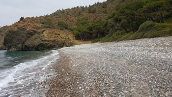 durusu ciftlik evleri