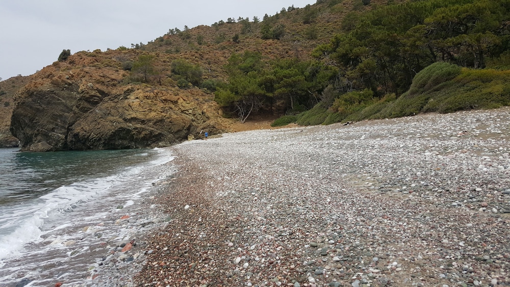 durusu ciftlik evleri