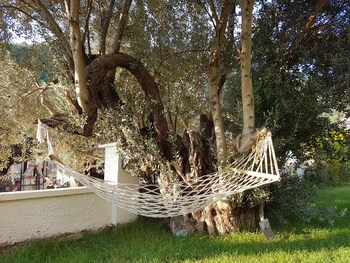 fethiye
