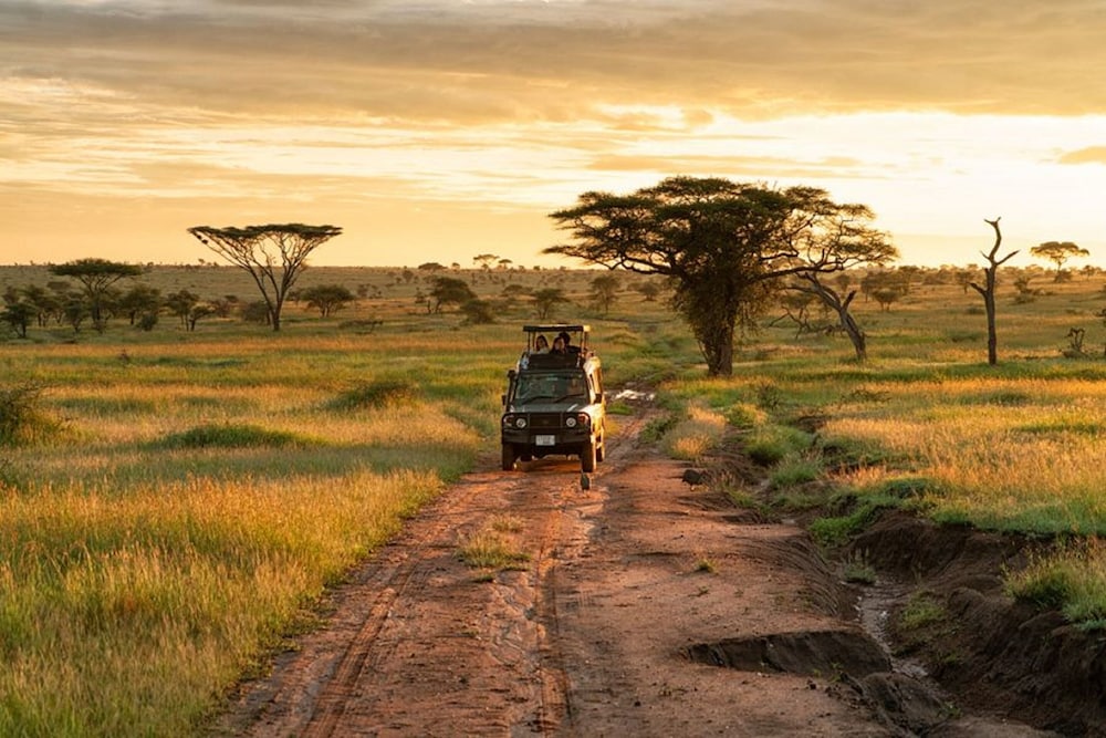 pumzika luxury safari camp east africa camps