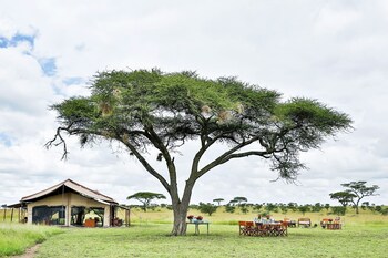 pumzika luxury safari camp east africa camps