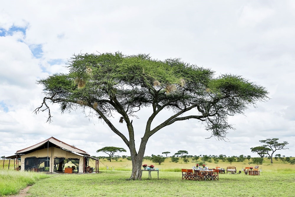 pumzika luxury safari camp east africa camps