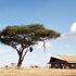 pumzika luxury safari camp east africa camps