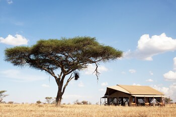 pumzika luxury safari camp east africa camps