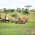 pumzika luxury safari camp east africa camps