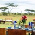 pumzika luxury safari camp east africa camps