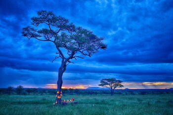 serengeti
