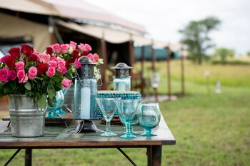 serengeti