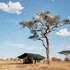 pumzika luxury safari camp east africa camps