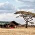 pumzika luxury safari camp east africa camps
