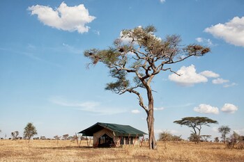 pumzika luxury safari camp east africa camps