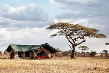 pumzika luxury safari camp east africa camps