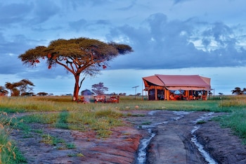 pumzika luxury safari camp east africa camps