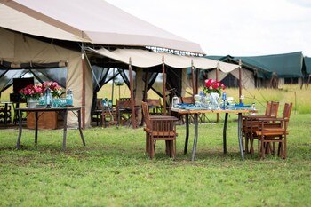 serengeti