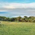 ngorongoro