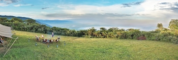 ngorongoro