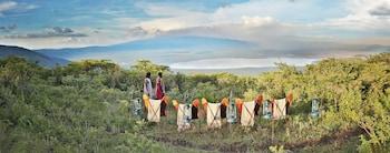 ngorongoro