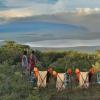 pakulala safari camp east africa camps