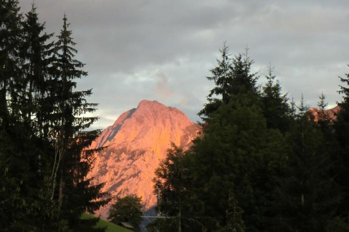 das kleine berghotel