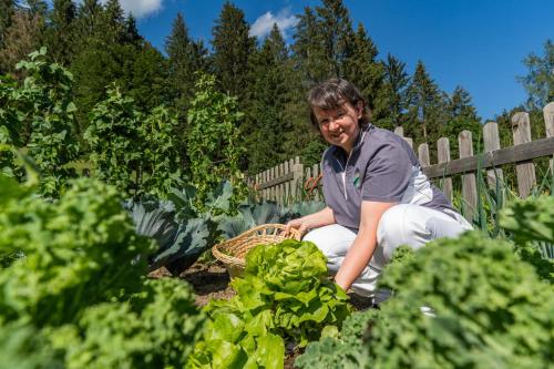 das kleine berghotel