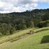 mapleton springs
