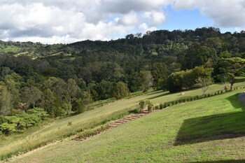 mapleton springs