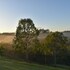 mapleton springs