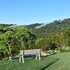 mapleton springs