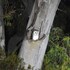 mapleton springs