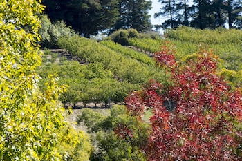 the manor basket range