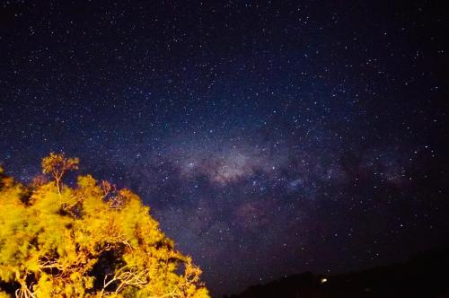 apollo panorama guesthouse