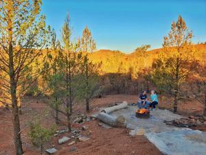 Skytrek Willow Springs Station,Hawker>>Flinders Ranges,3 star