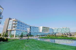 hilton pilar
