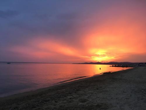 dream boutique apartments