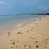 sithonia